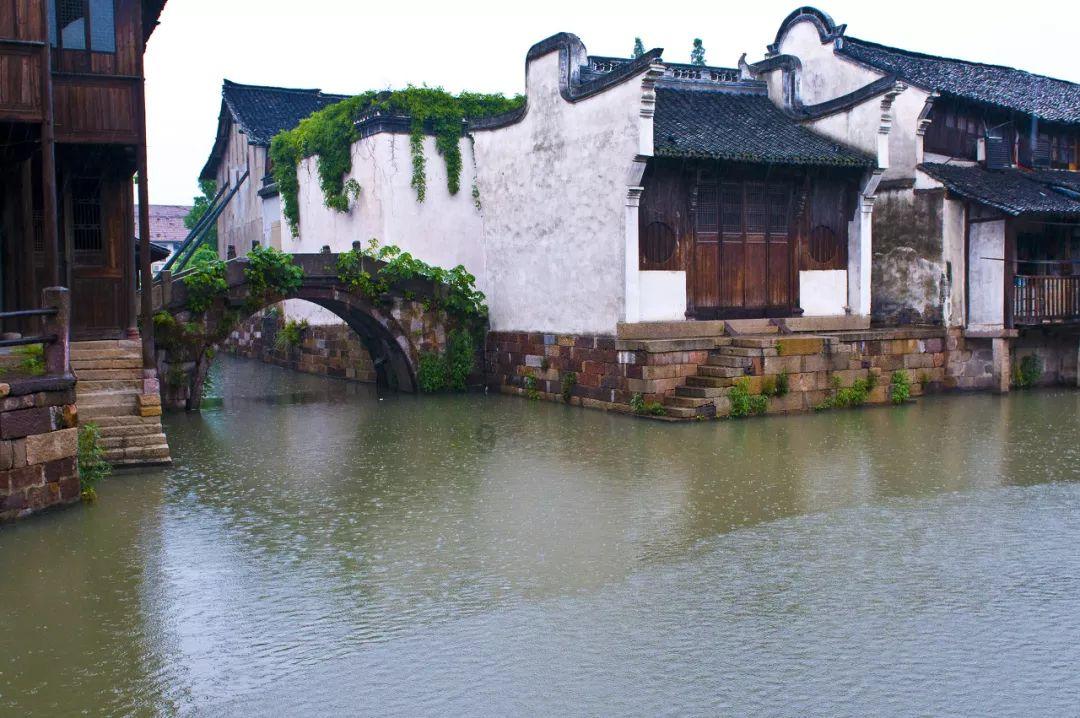 吃什么瘦肚子?6种食物狂甩腹部赘肉 我已经瘦5斤了!