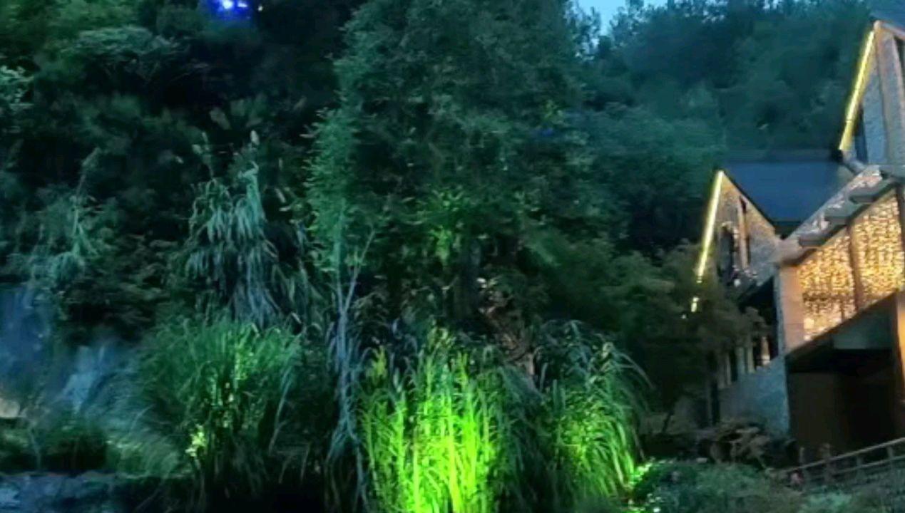 小猫钓鱼开船版最新版下载